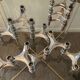 Series of 14 vintage Nagel style modular candle holders