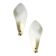 Elegant Contemporary Italian Sanded Leaf Murano Glass Wall Sconce Set