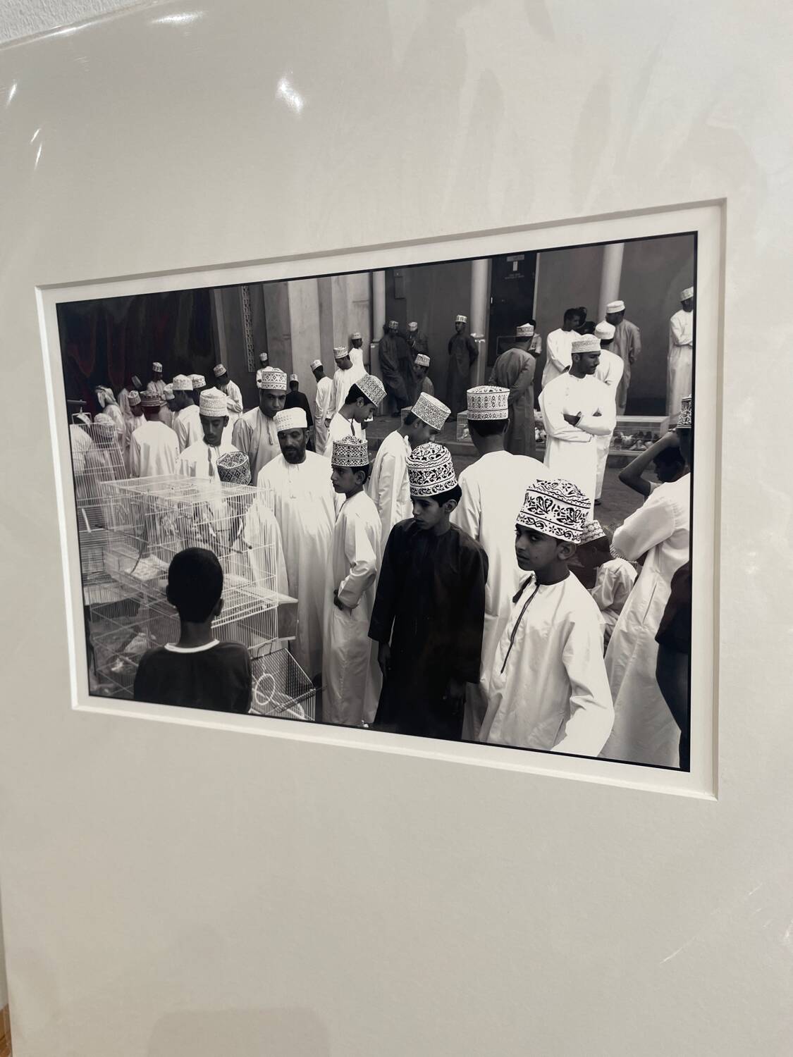 The Bird Market - Oman