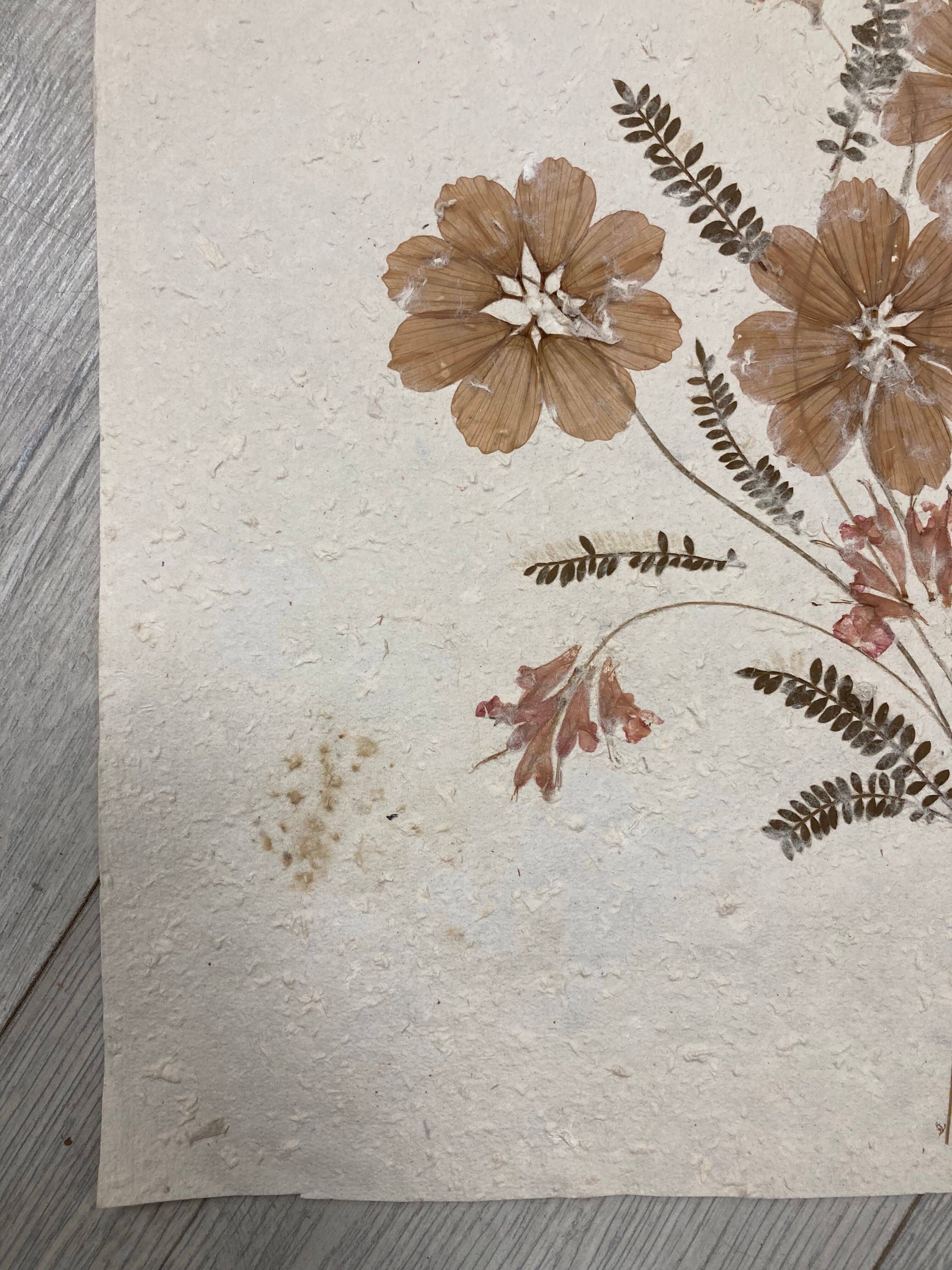Planche fleurs séchées