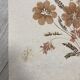 Planche fleurs séchées