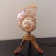 Vintage shell lamp