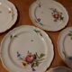 10 dessert plates painted decorated with flowers, insects (all different)