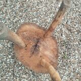 Billot ancien