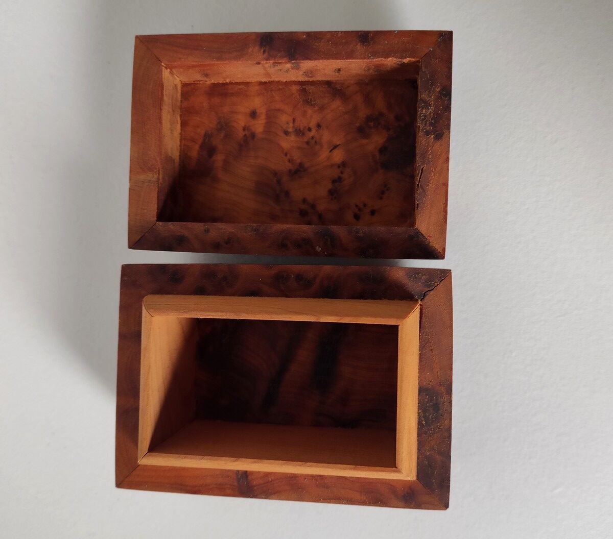 Small box of cedar magnifying glass
