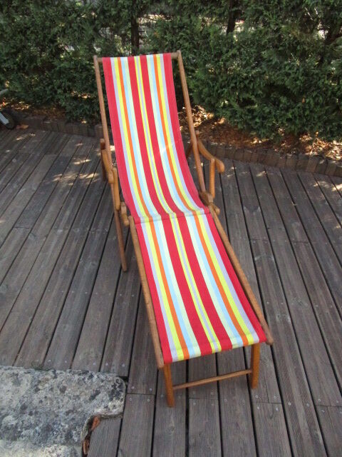 Ancient Chilean Transatlantic