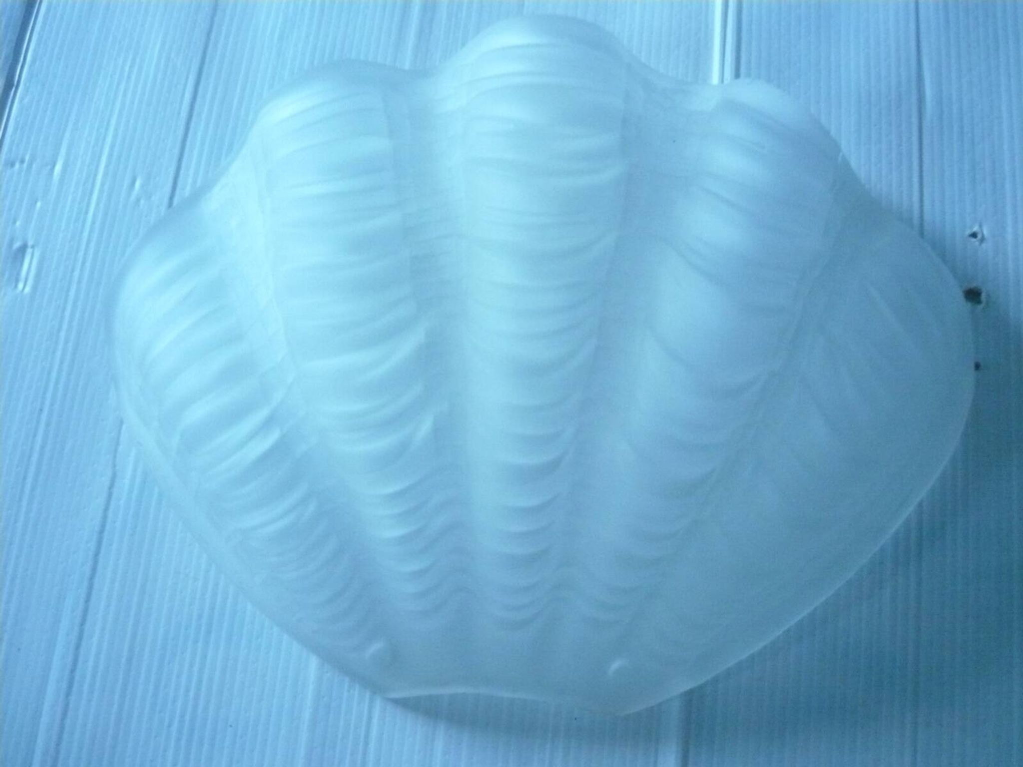 Pair of shell wall lights in art deco style from the 60s\70s
