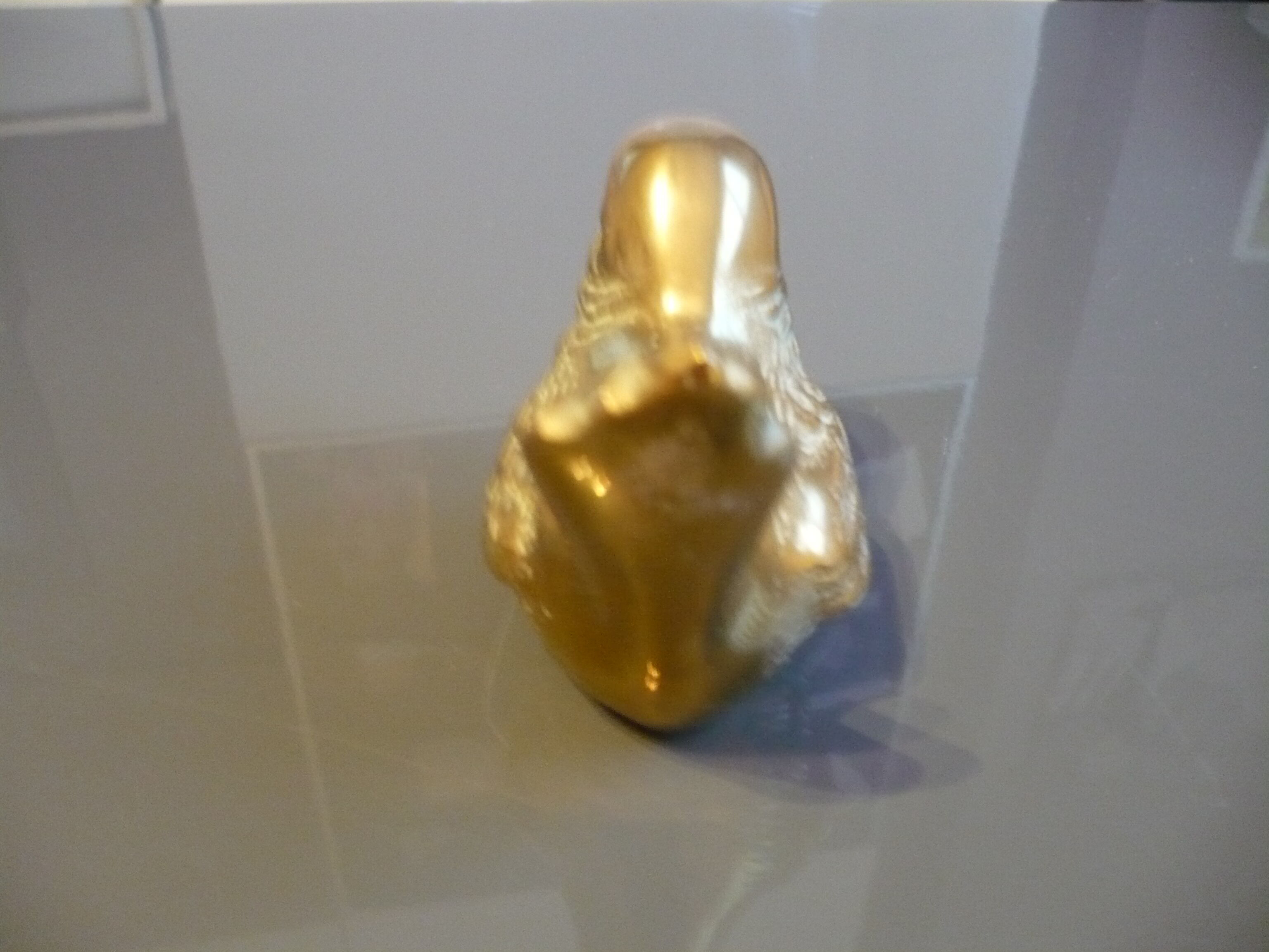 Brass sparrow