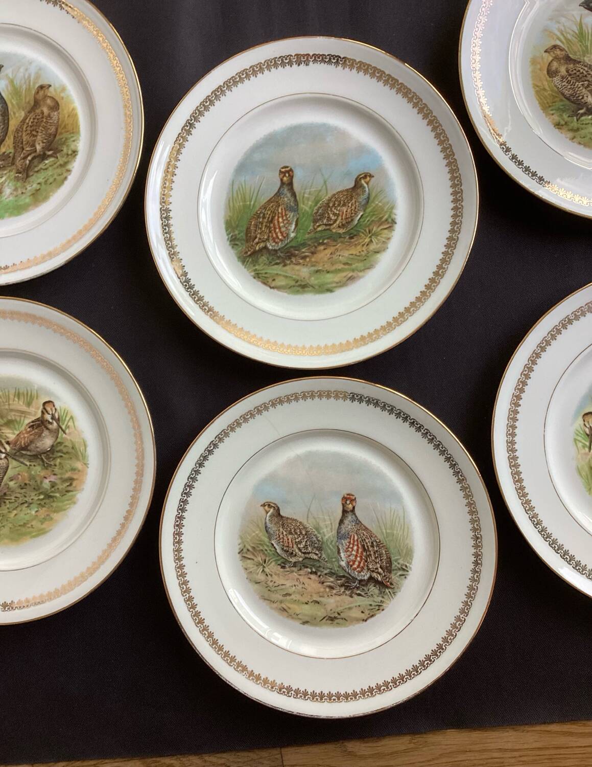 Flat plates PL Emaux Limoges Fafrique Mehun