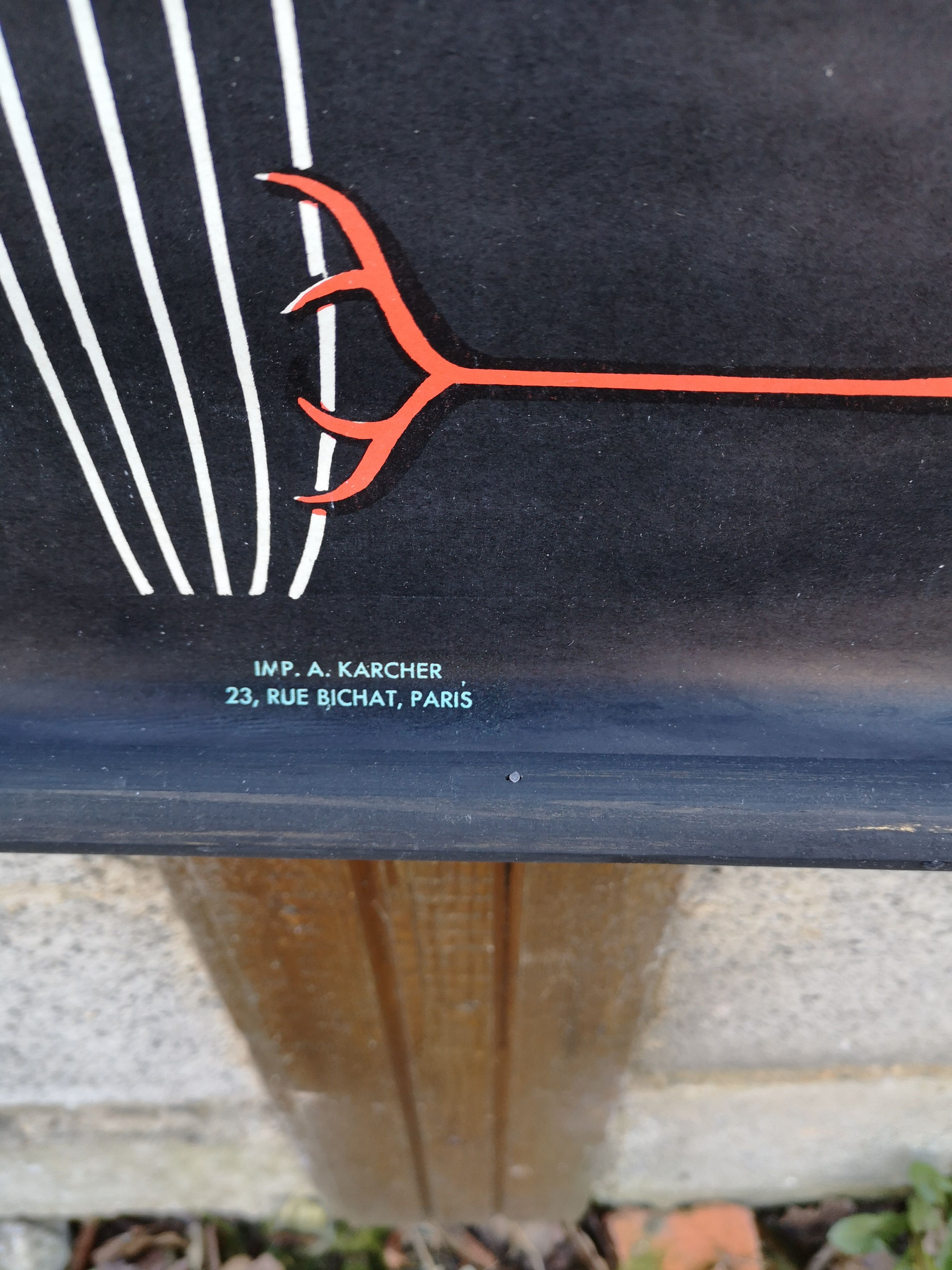 School poster of doctor Auzoux nerve tissue