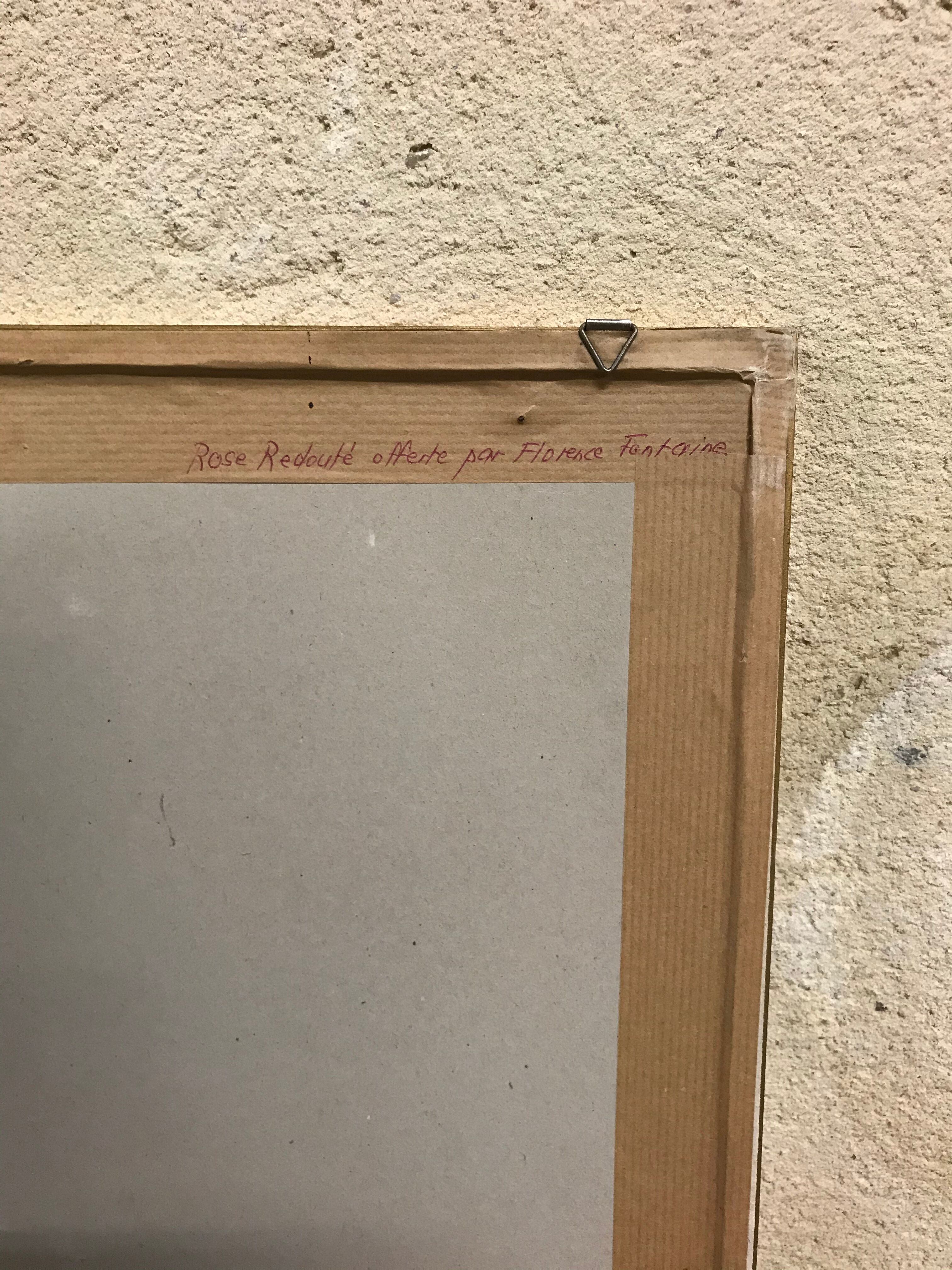 Engraving "rosier des perfumers"