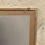 Engraving "rosier des perfumers"