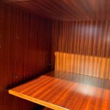 Tall Art Deco Cabinet in Macassar Veneer and Mahogany, France, 1930s