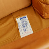 Couple Coronado Lounge Chair by Tobia & Afra Scarpa for B & B Italy