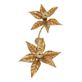 Large double flower wall sconces in brass, Willy Daro style, 1970s.