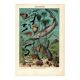 Old engraving from 1923 - Oceanography and marine life - vintage plate