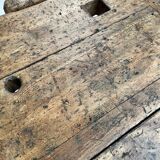 Established old oak XL