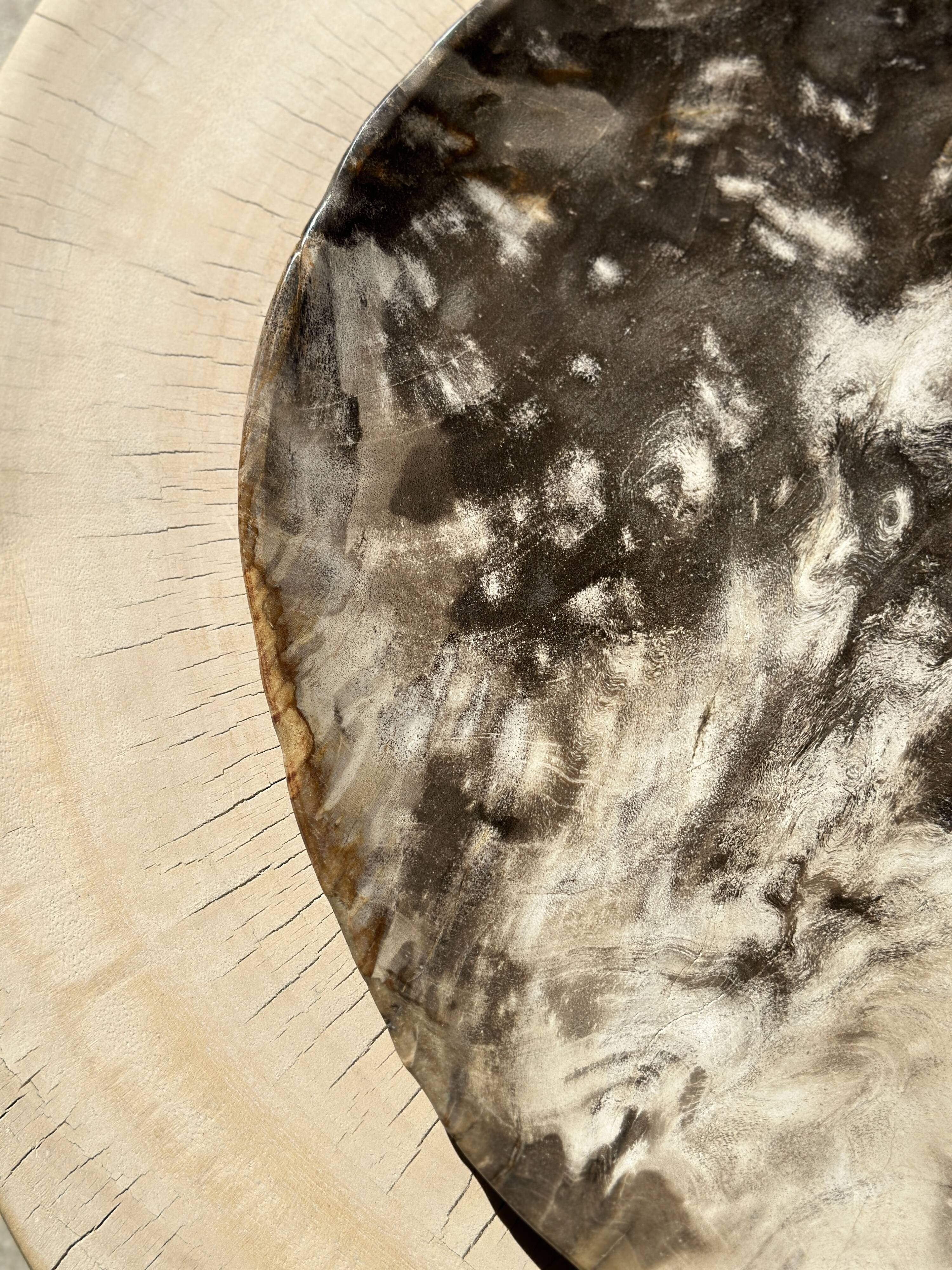 Very large empty pocket or petrified wooden flat