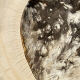 Very large empty pocket or petrified wooden flat