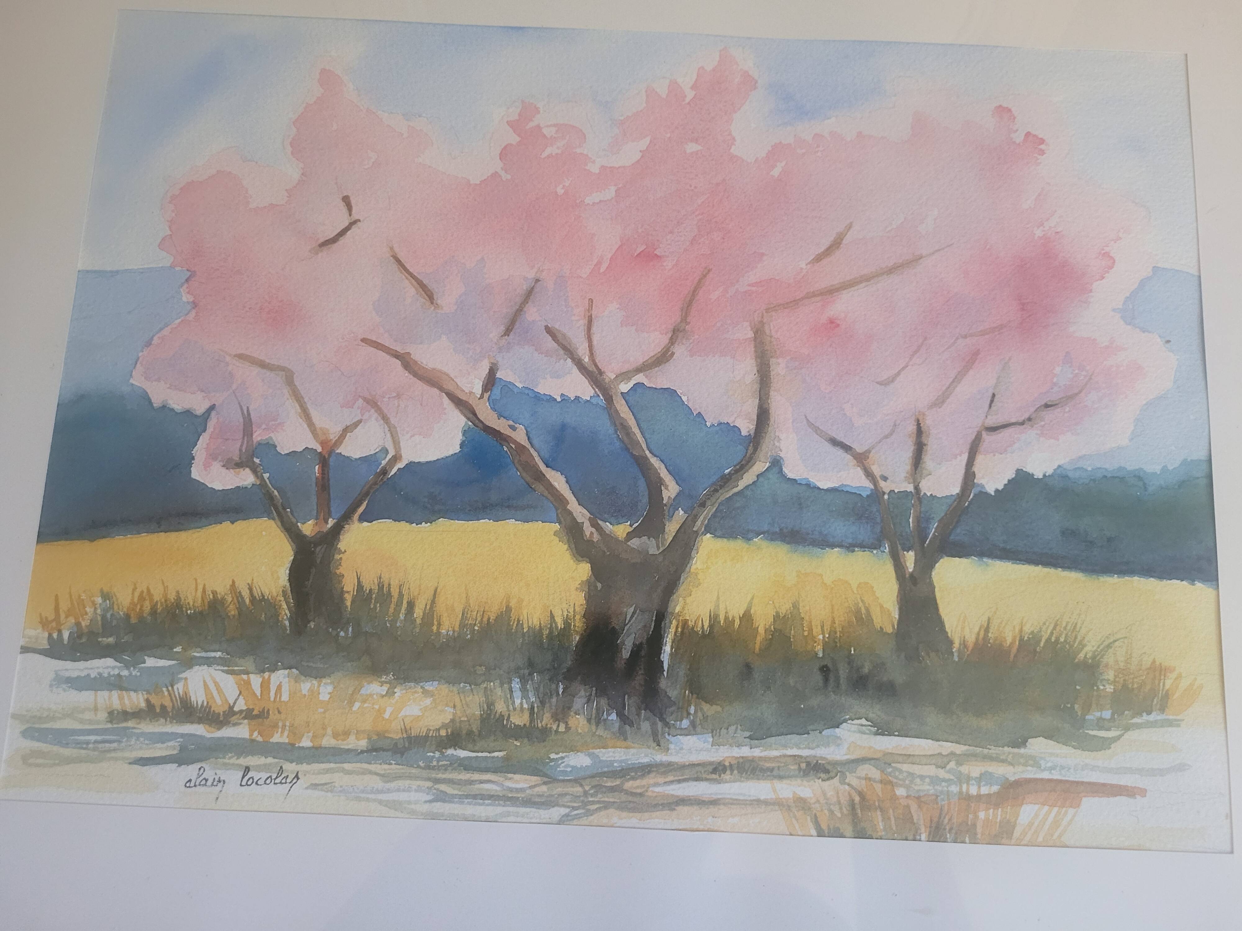 Watercolor cherry blossoms