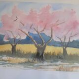 Watercolor cherry blossoms