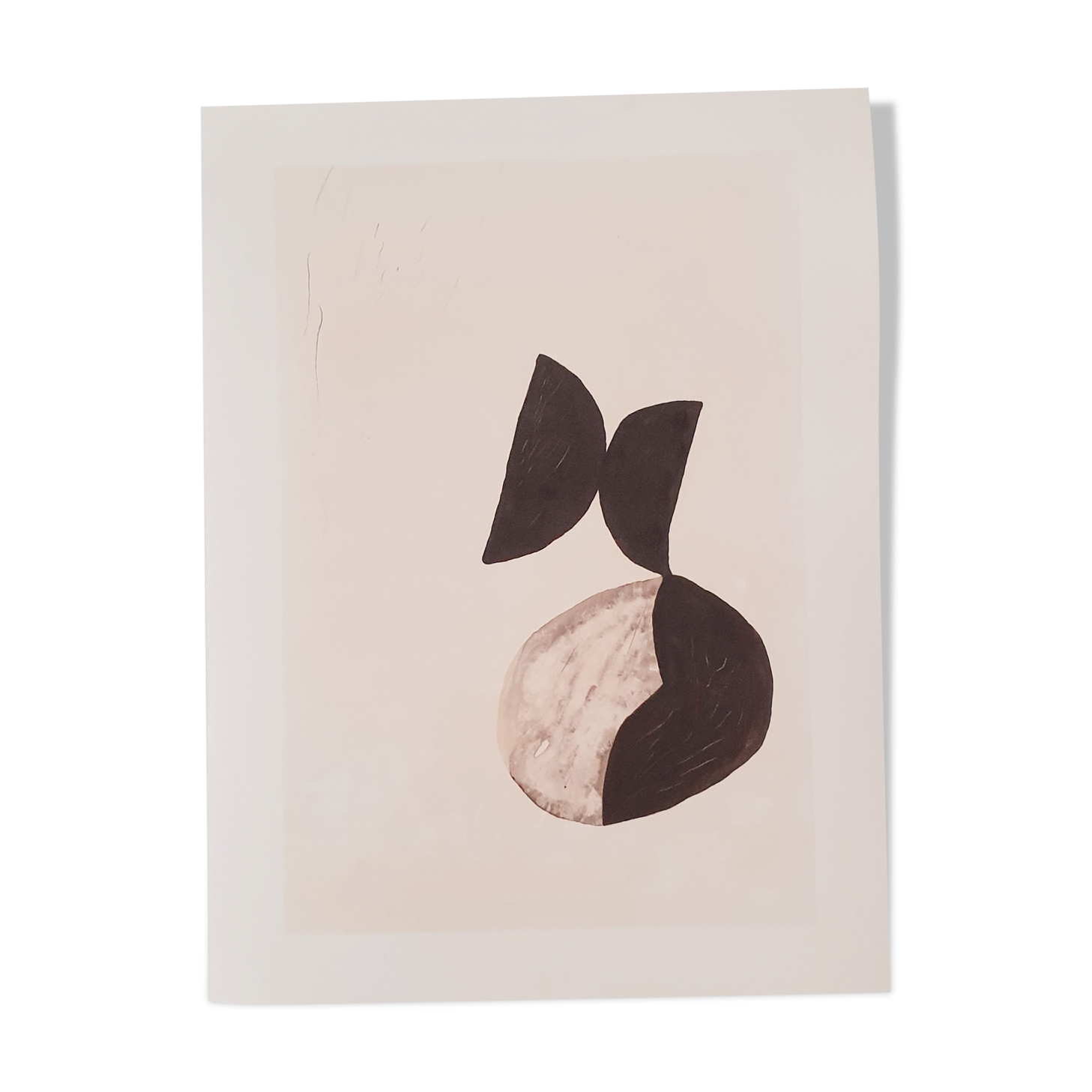 Colors of the Universe III