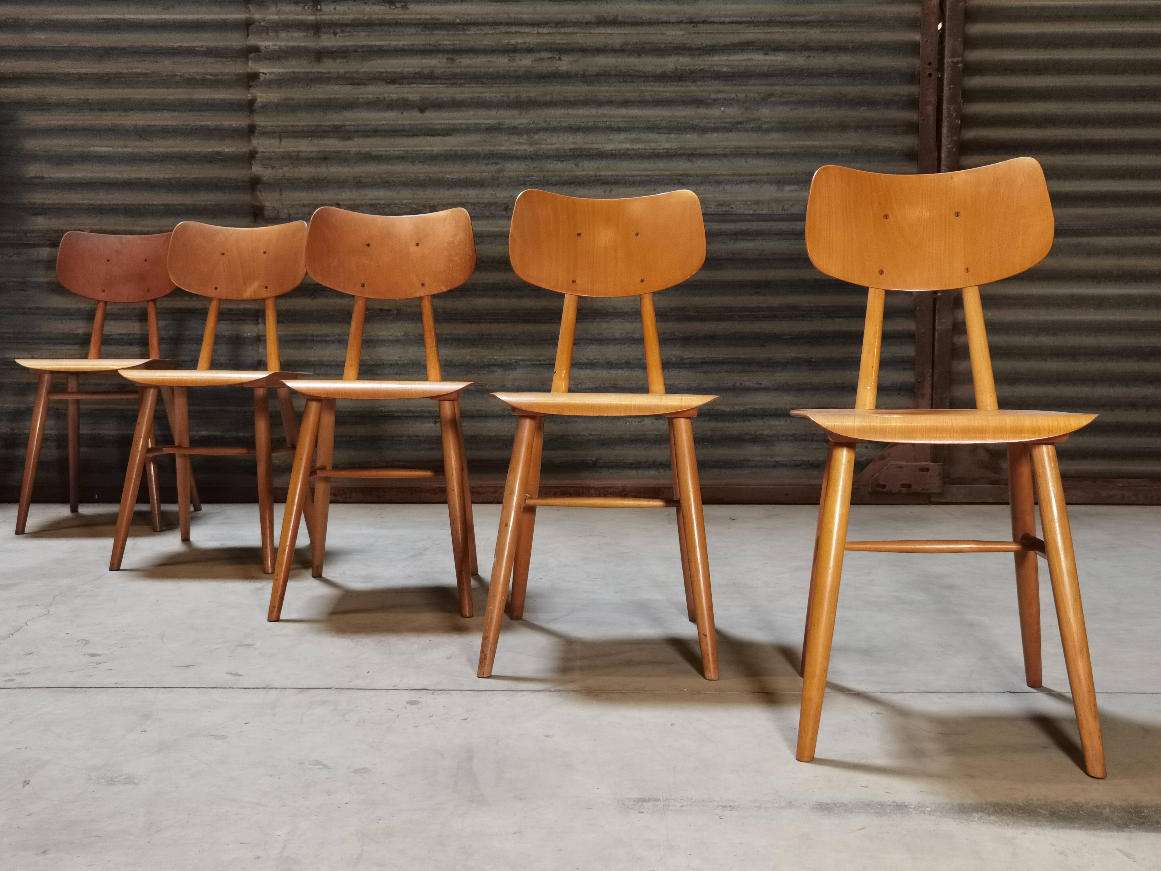 Set of 5 all-wood chairs published by Ton 1960