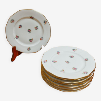 Assiettes vintage fleuries velay porcelaine