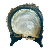 Large mother-of-pearl shell