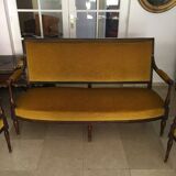 Salon 18th yellow ochre