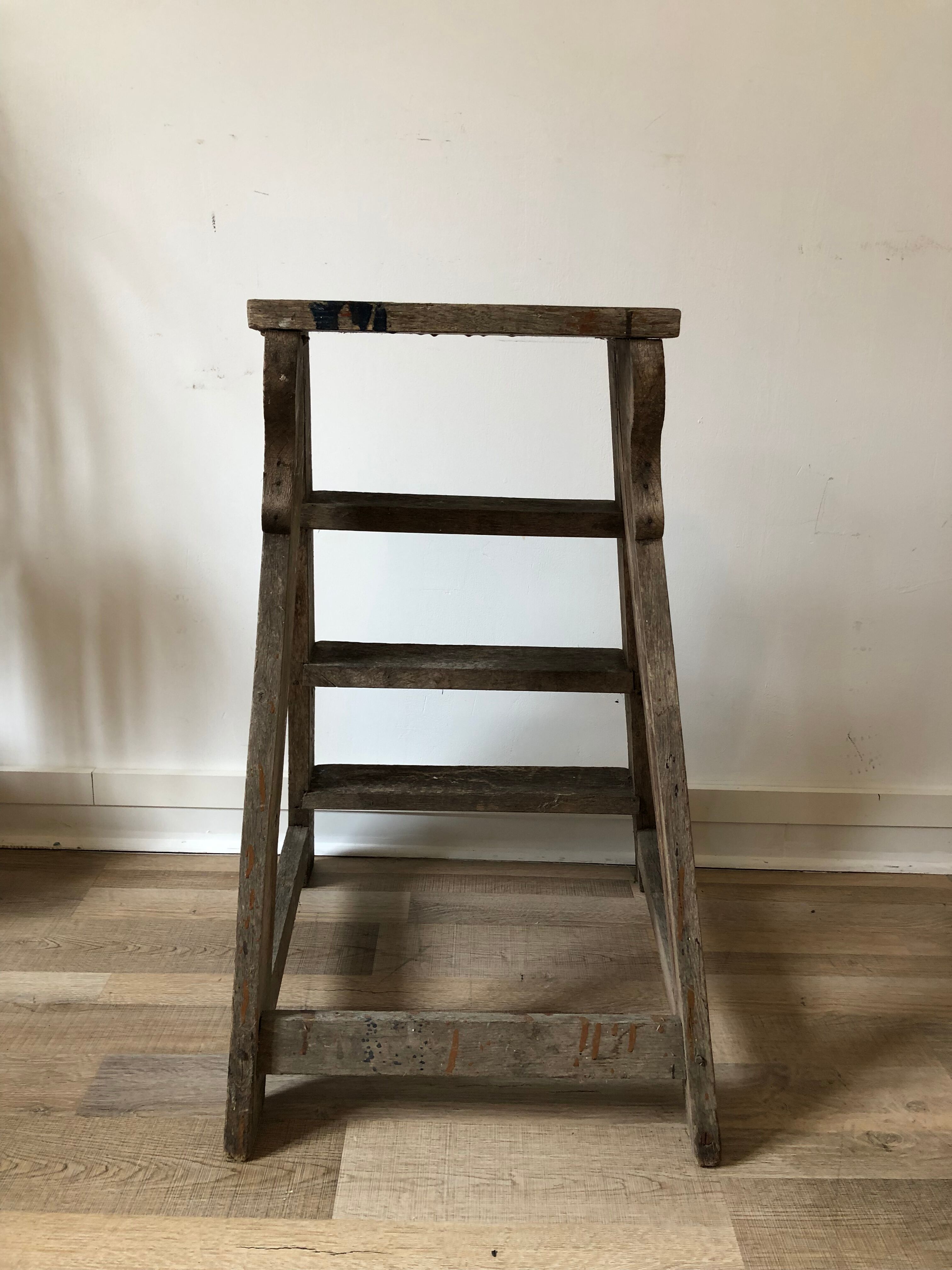 Stepladder painter