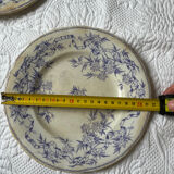 U&G Sarguemines Épine plates
