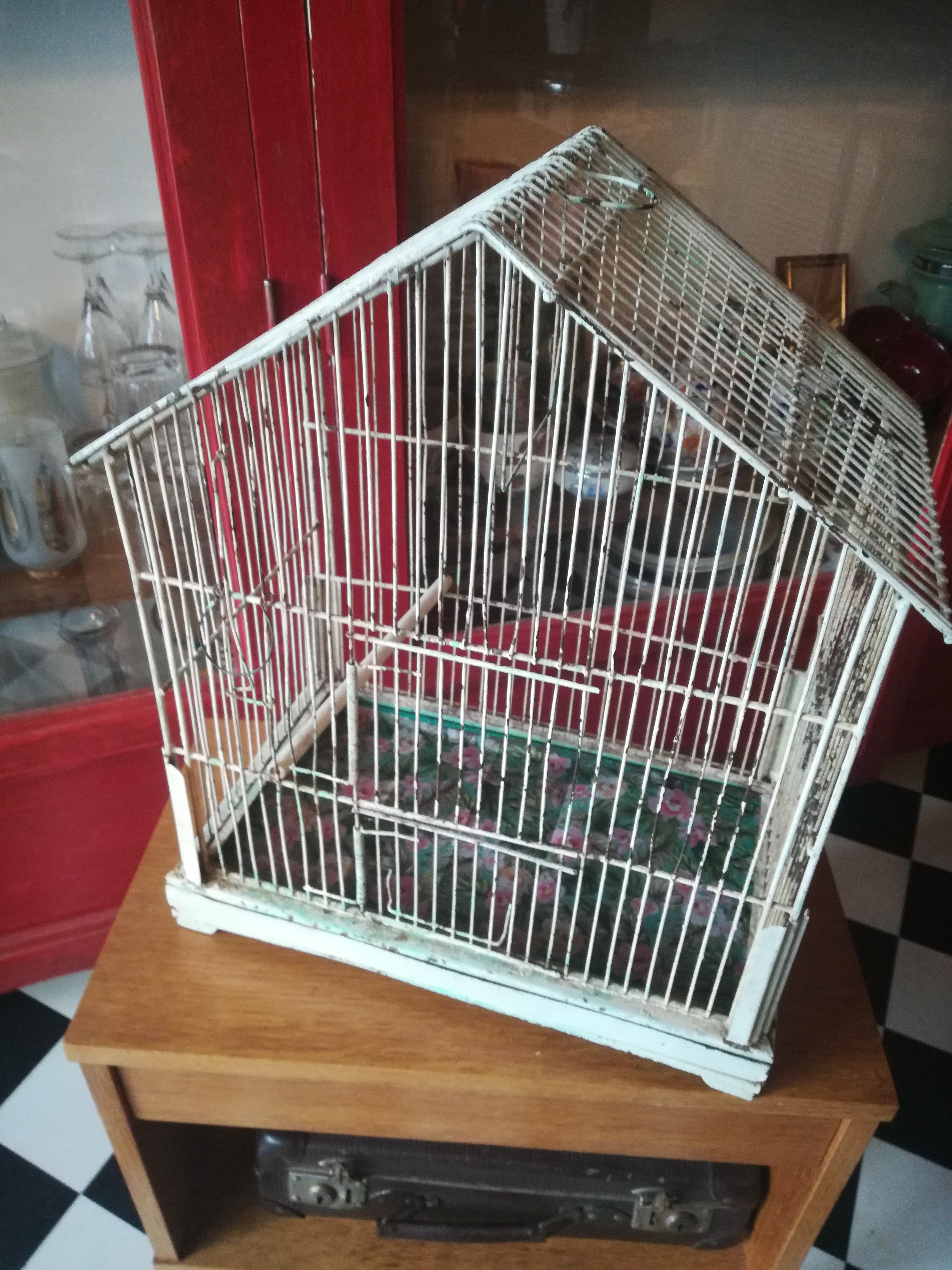 Cage oiseau fer