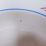 Set of 6 vintage soup plates from the Gien factory, Nice model