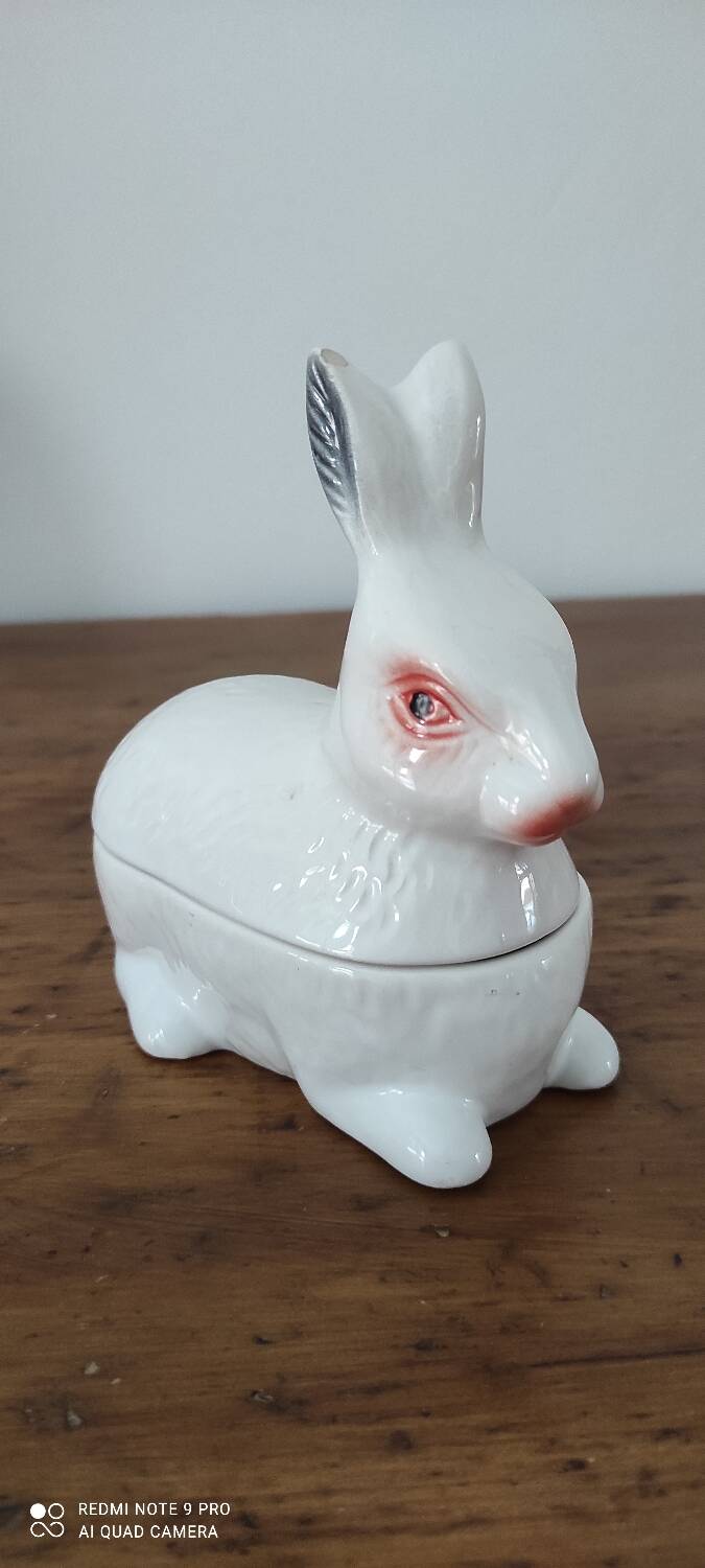 Caugant rabbit box
