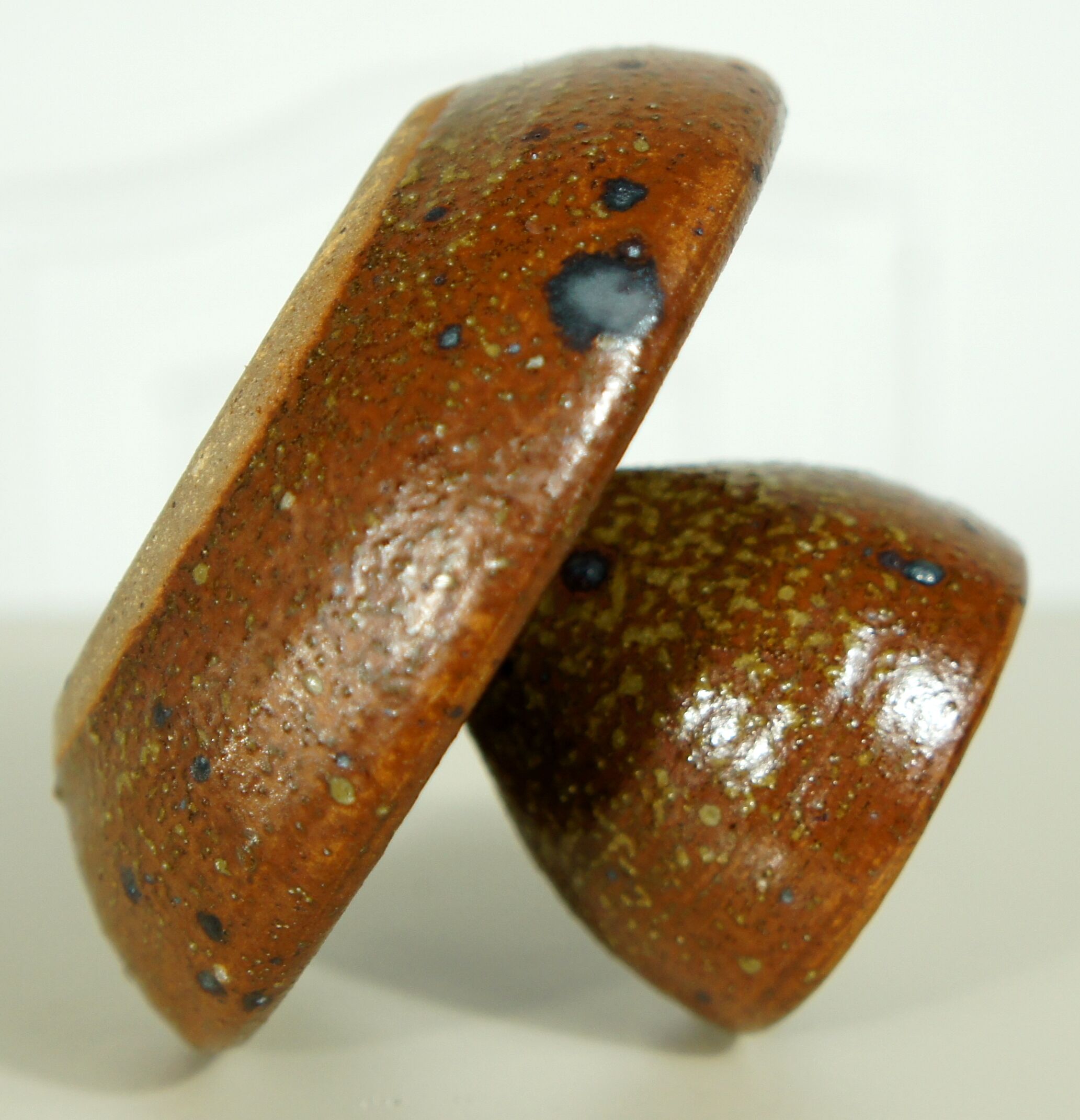 Pyrite sandstone shell