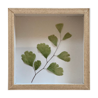 Miniature frame dried leaf