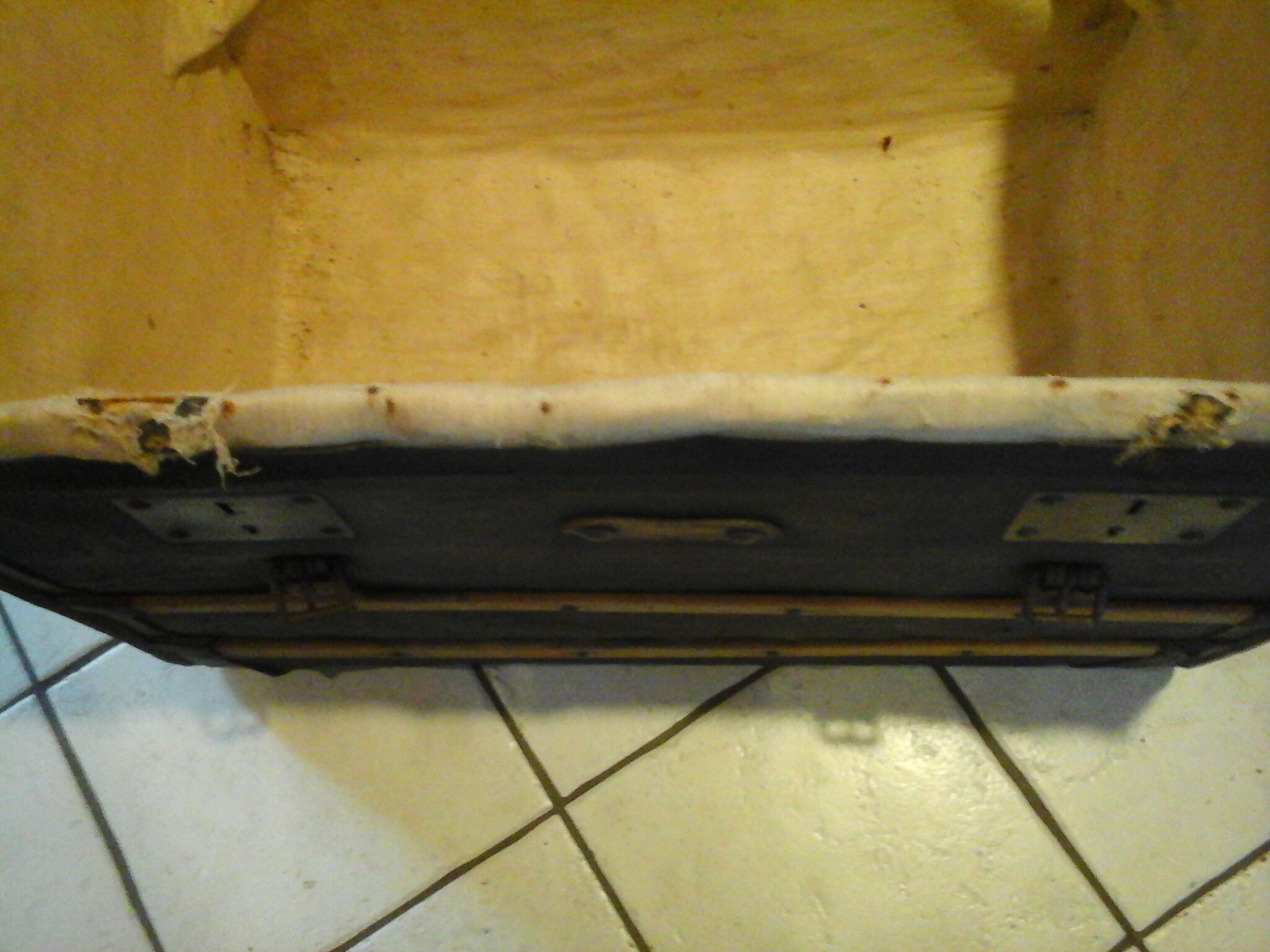 Leather travel trunk