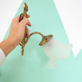 Golden opaline gooseneck wall lamp