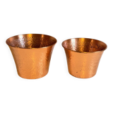 Pair of copper plants 1960s
