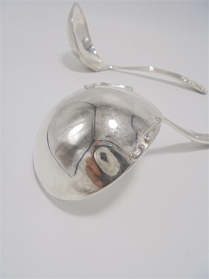 Duo of little ladle