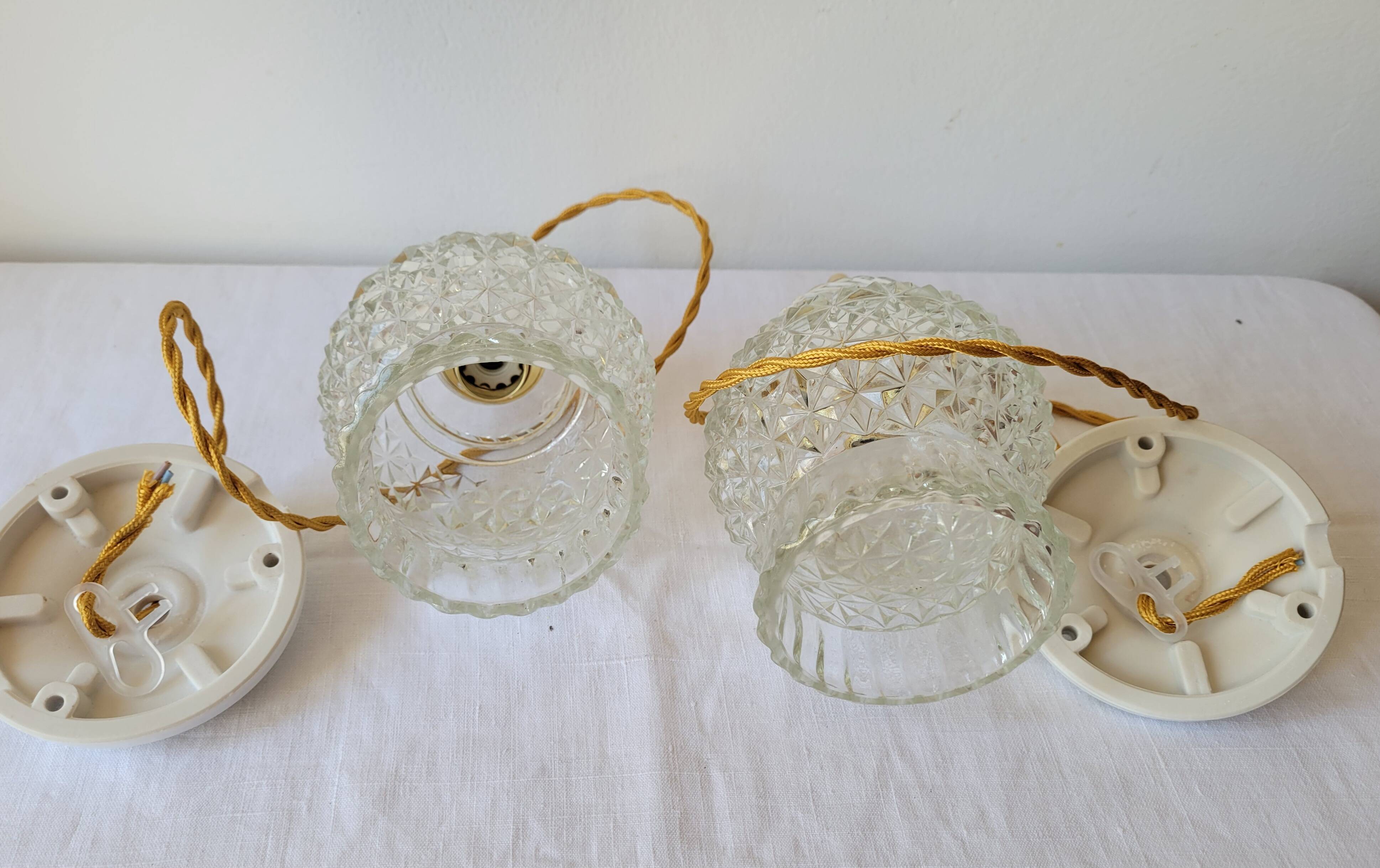 Duo of molded glass pendant lights