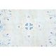 1970s Vintage Persian Handmade Wool Cotton Light Blue Area Rug 291x397