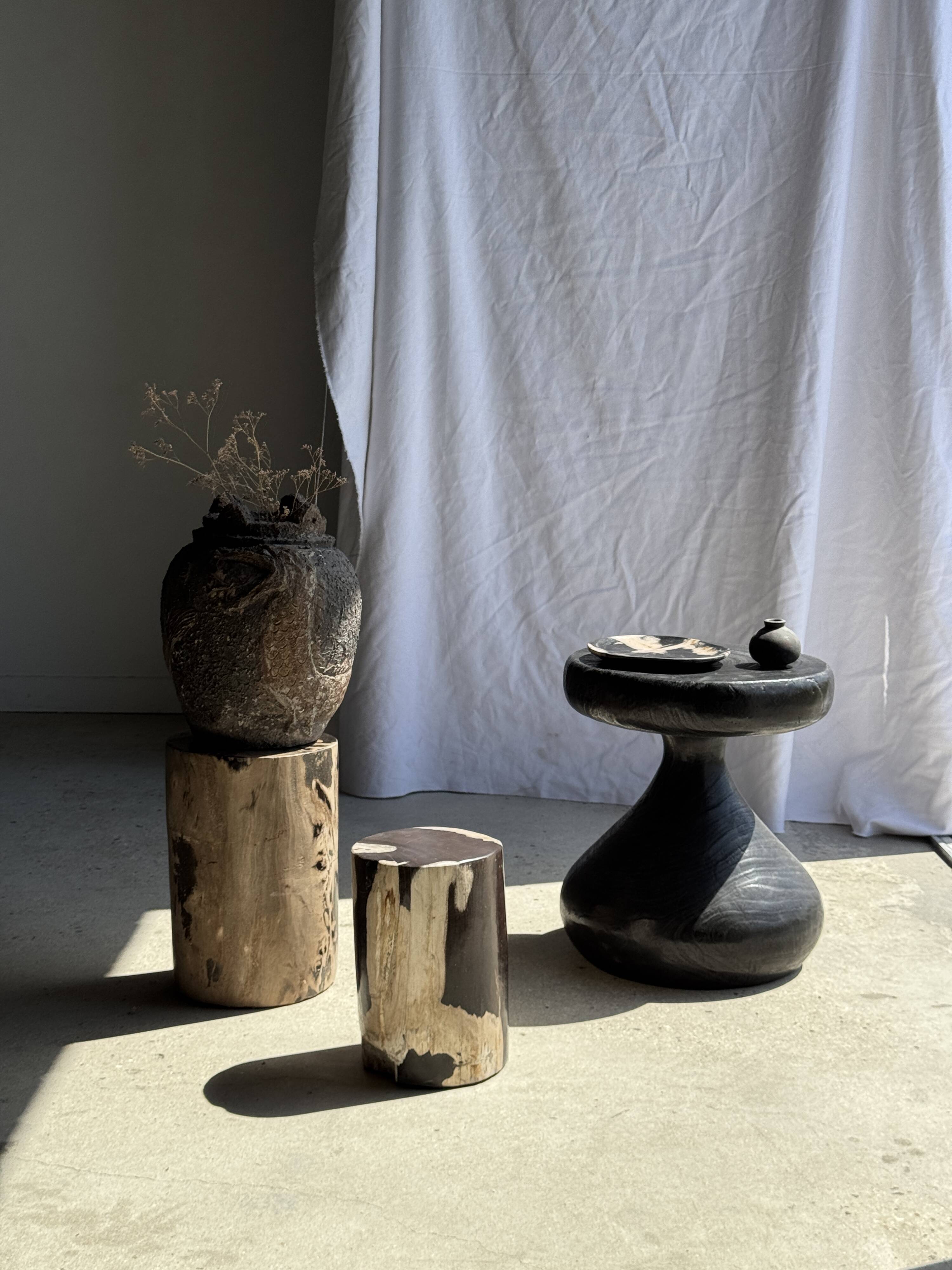 Small side table in black and white petrified wood H28 D18