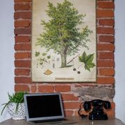 Displays Abele tree by Joh. Senator Kautsky and g. c. Beck for a. Pichlers widow & Sohn 1886