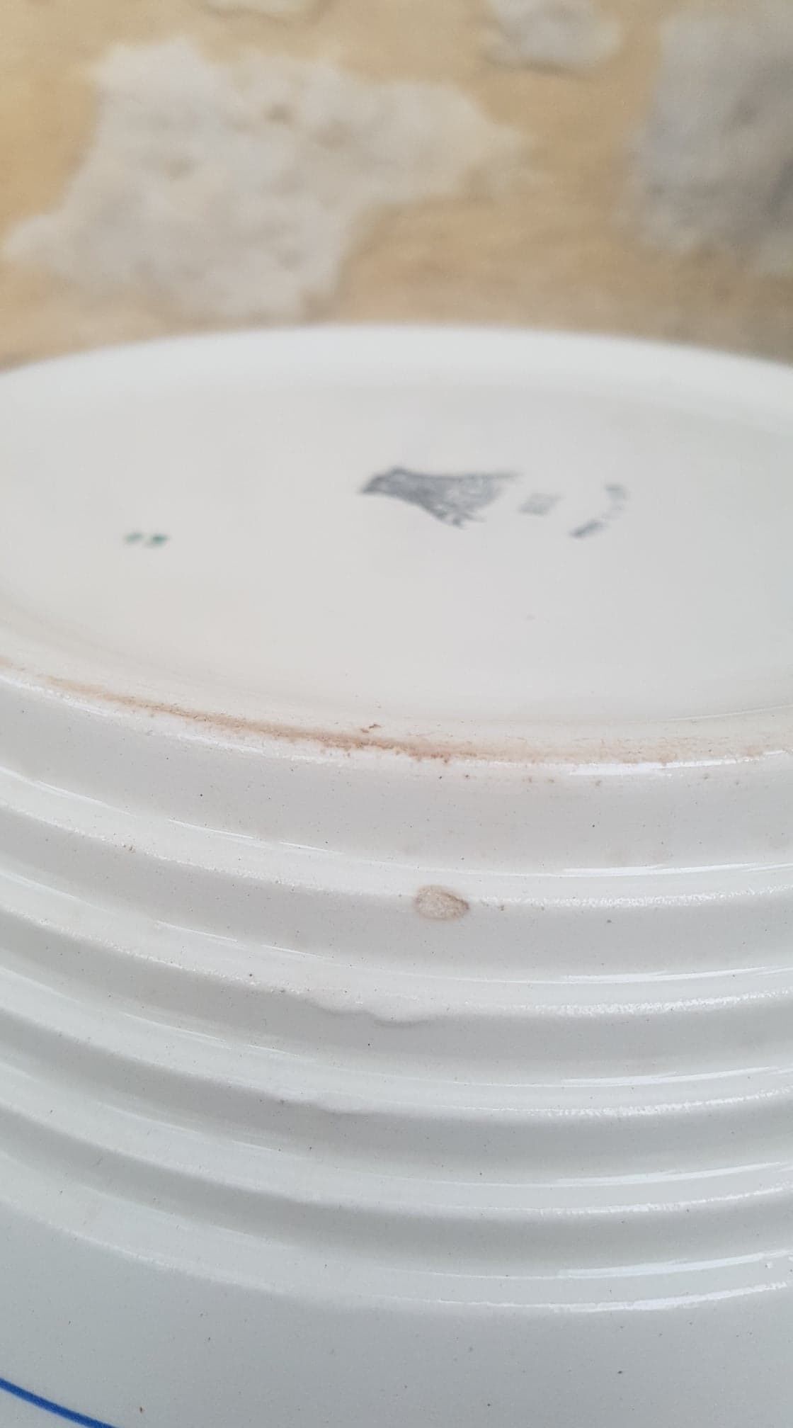 Salad bowl Gien model Nice