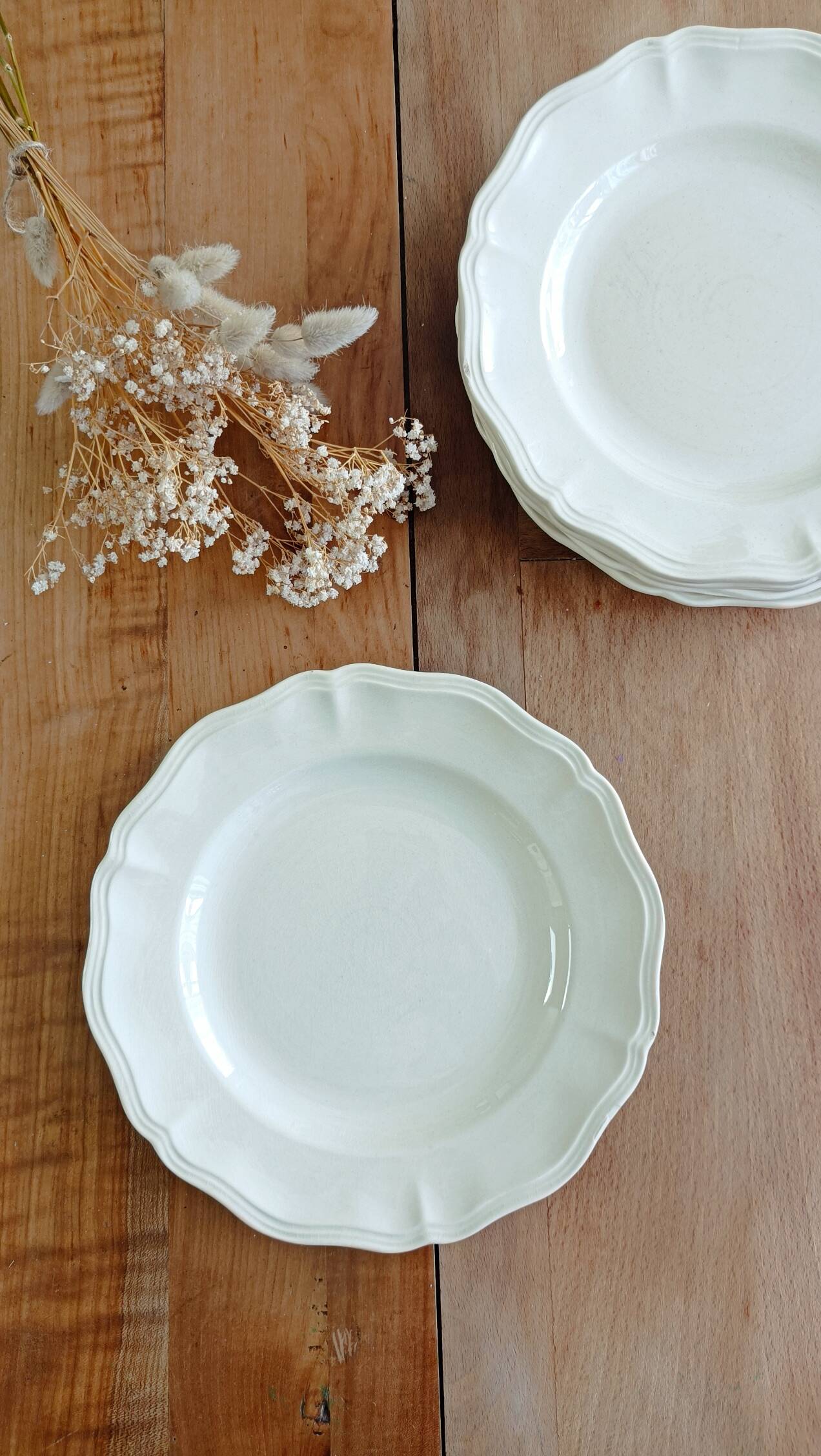 Set of 6 Sarreguemines ivory flat plates
