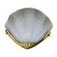 Shell wall lamp, glass and brass.