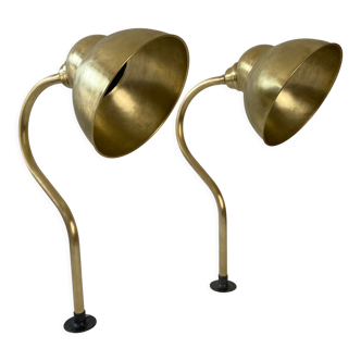 Pair of vintage brass gooseneck sconces