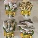 Set of 4 decorative ceramic wall plaques featuring mushrooms (signed) - 14cm